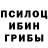 Псилоцибиновые грибы мицелий Tymon Olejniczak