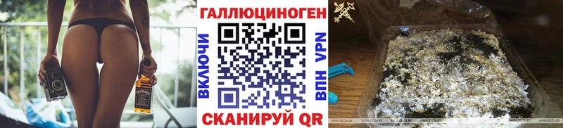 где купить наркоту  Харовск  Псилоцибиновые грибы прущие грибы 